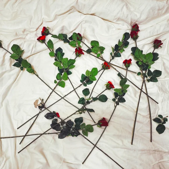 Leather Roses - Picture 2 of 4